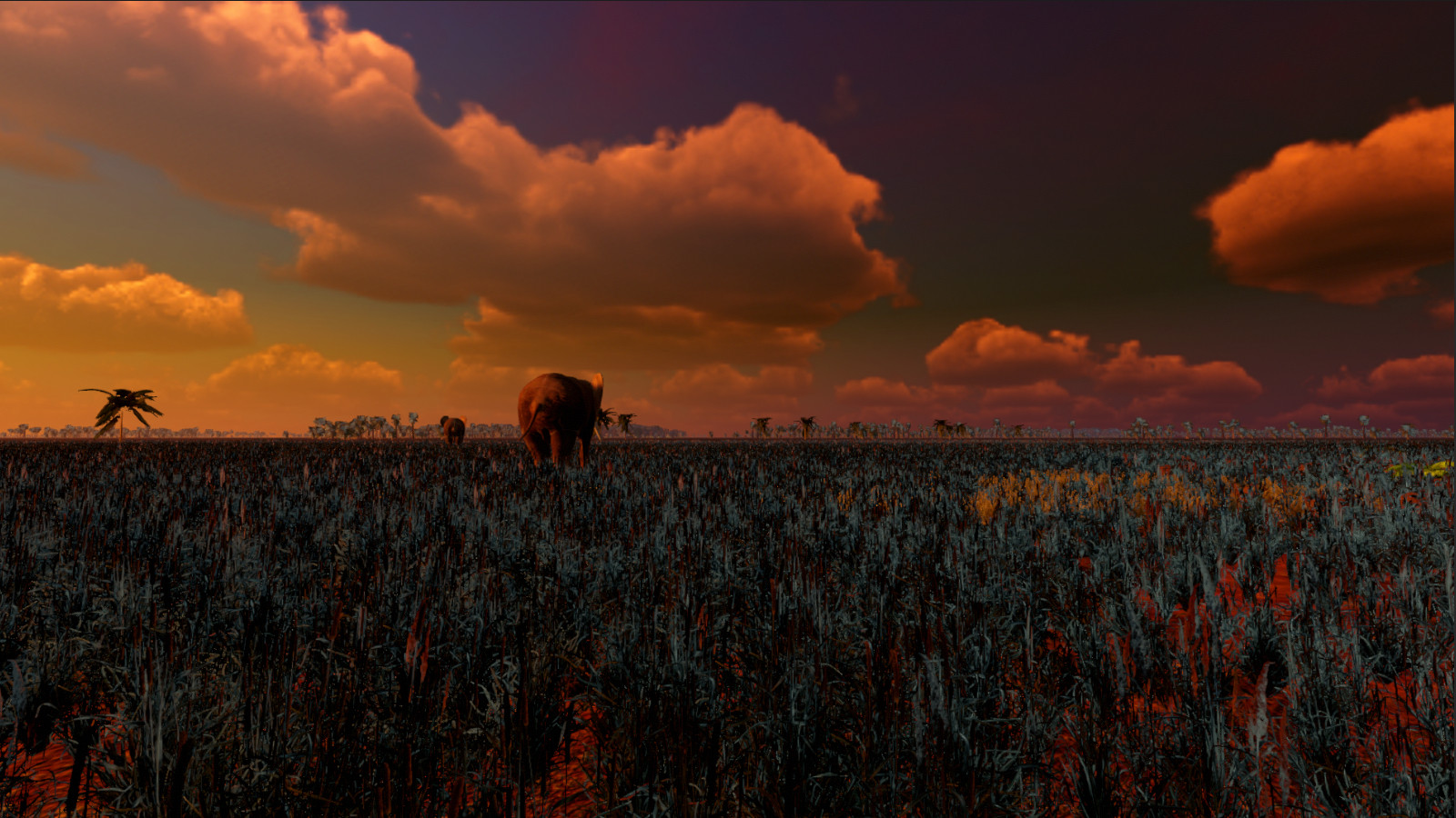 African Safari