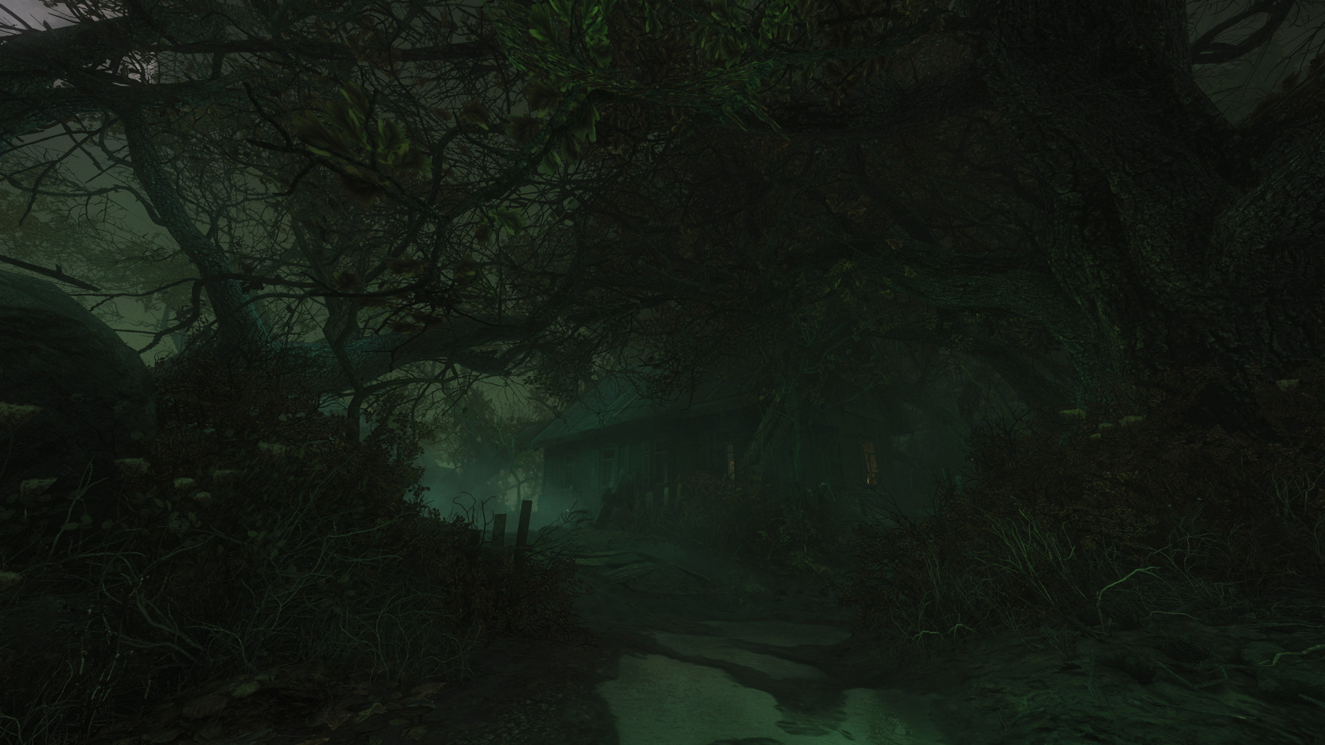 The Cursed Forest
