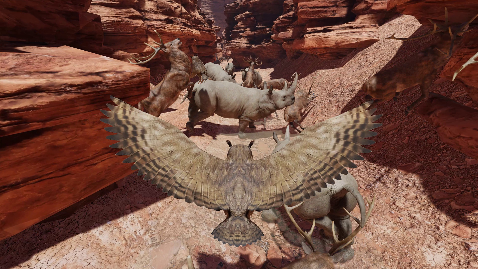 Food Chain