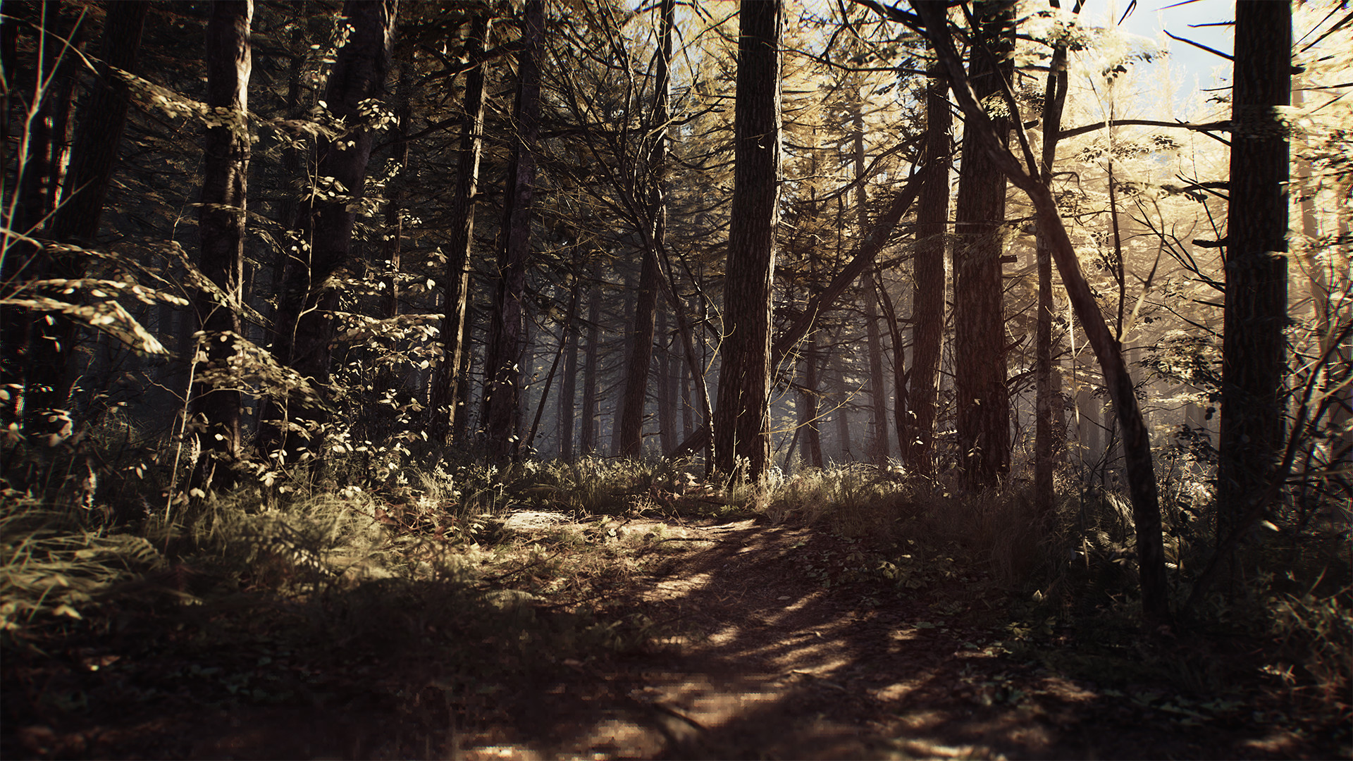 Blair Witch Original Soundtrack