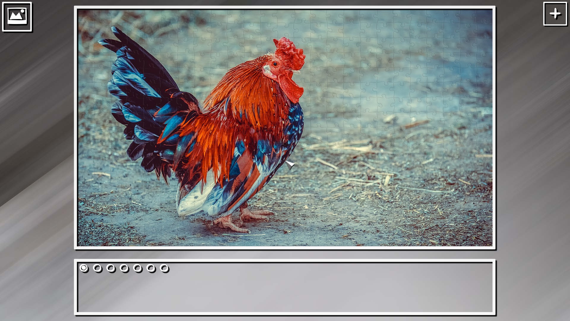 Super Jigsaw Puzzle: Generations - Random Animals Puzzles