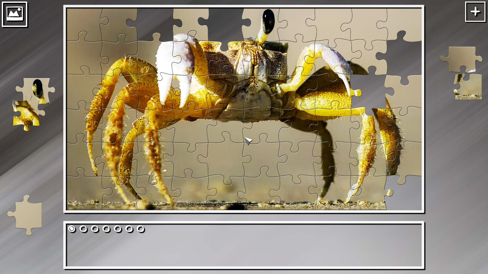 Super Jigsaw Puzzle: Generations - Random Animals 2