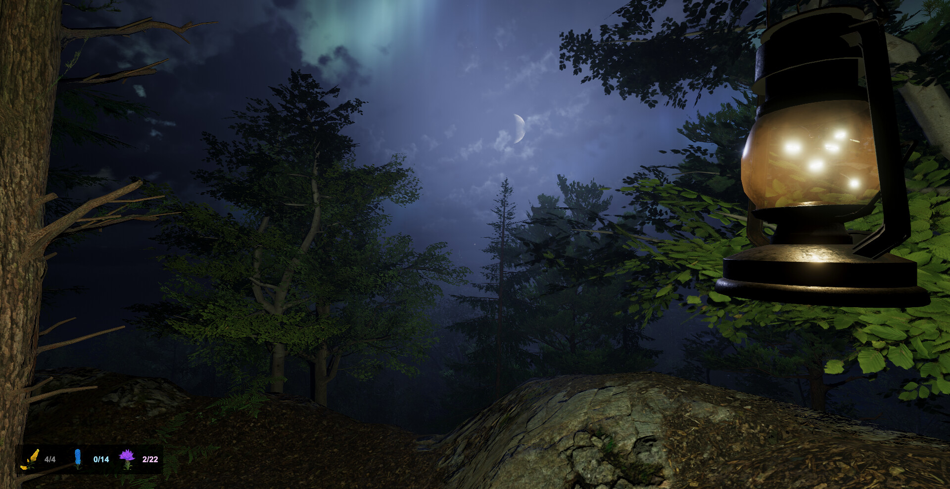 Wild Isles