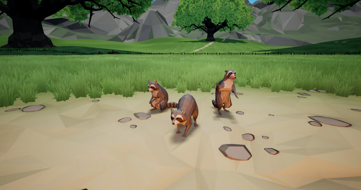 Agrou - Raccoon Pet