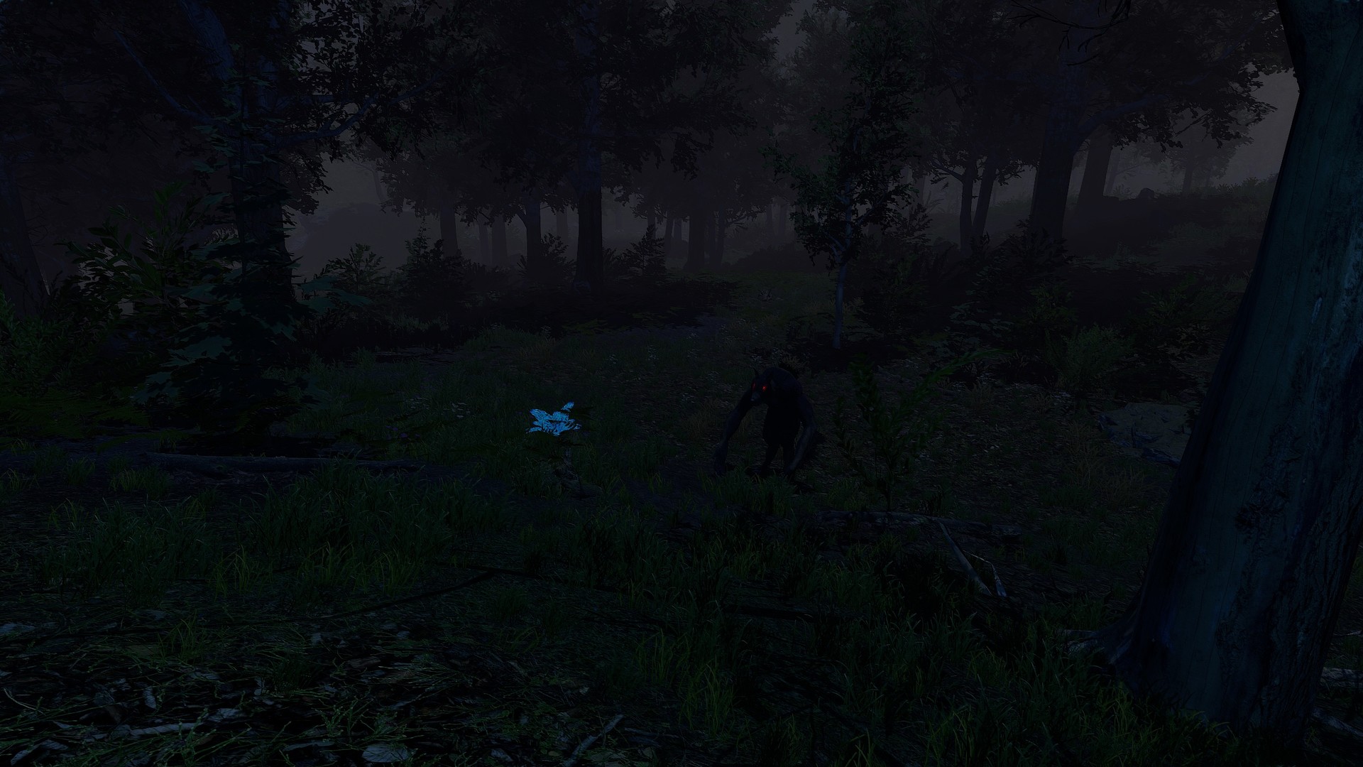 Trials of Wilderness