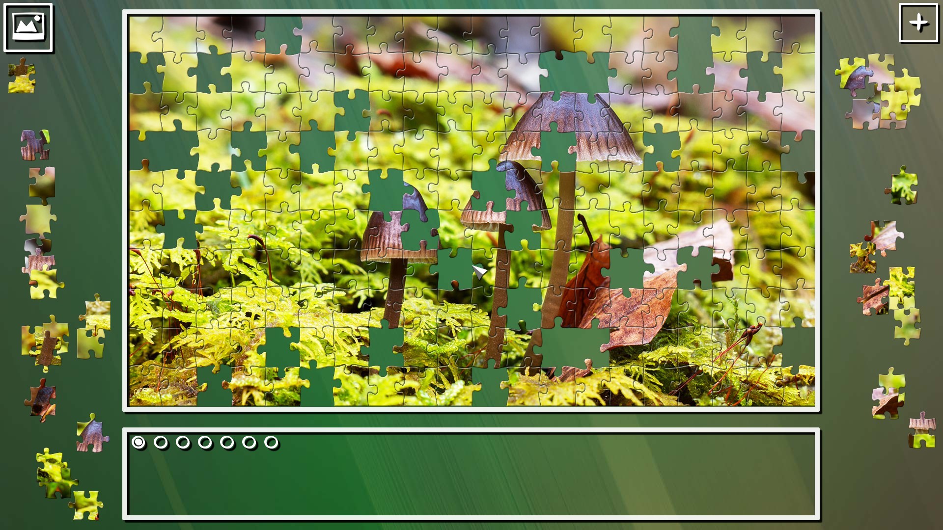 Super Jigsaw Puzzle: Generations - Mushrooms