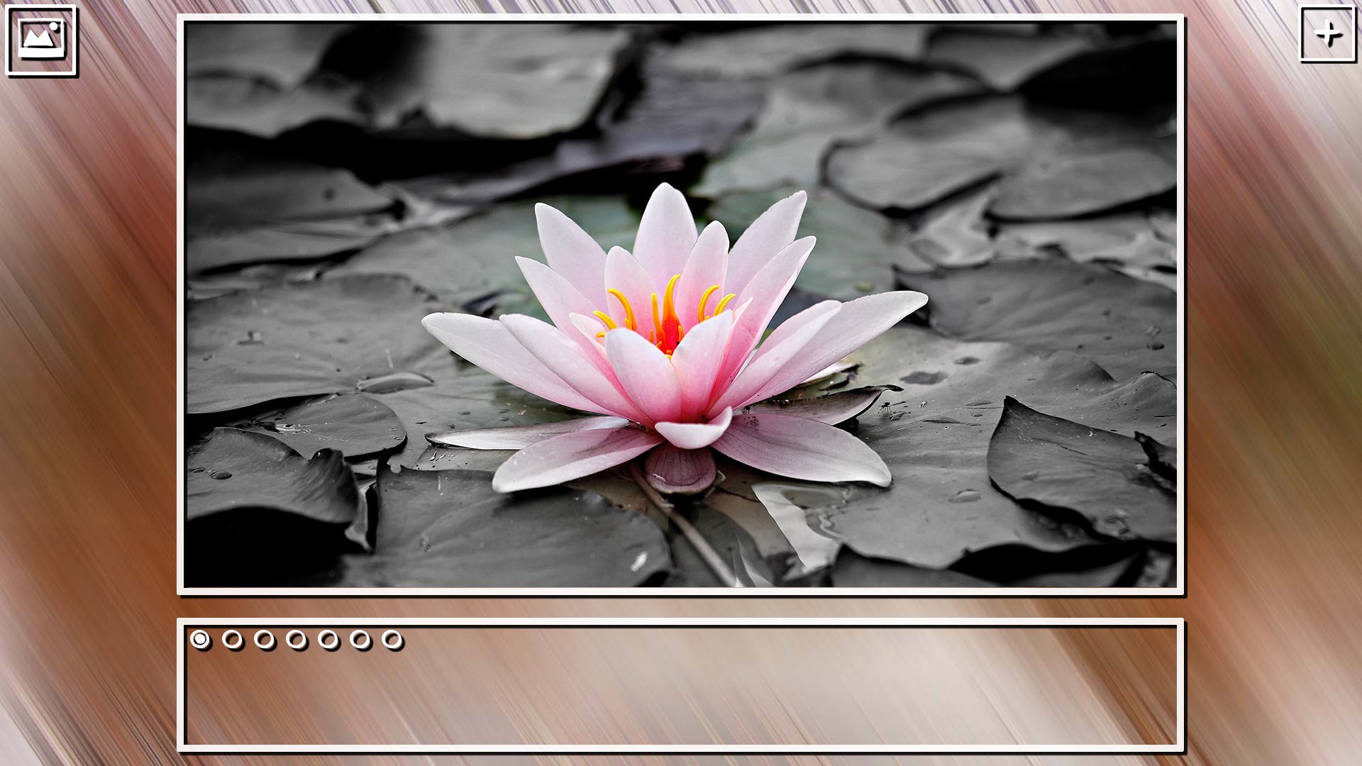 Super Jigsaw Puzzle: Generations - Flowers Puzzles