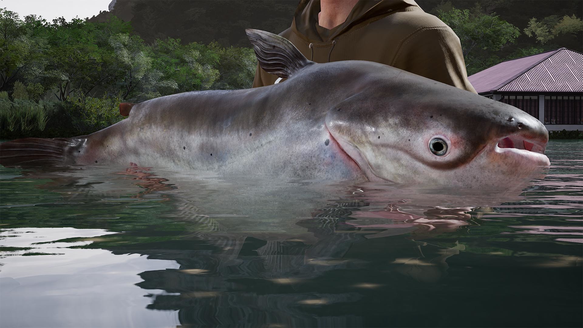 Fishing Sim World®: Pro Tour - Giant Carp Pack