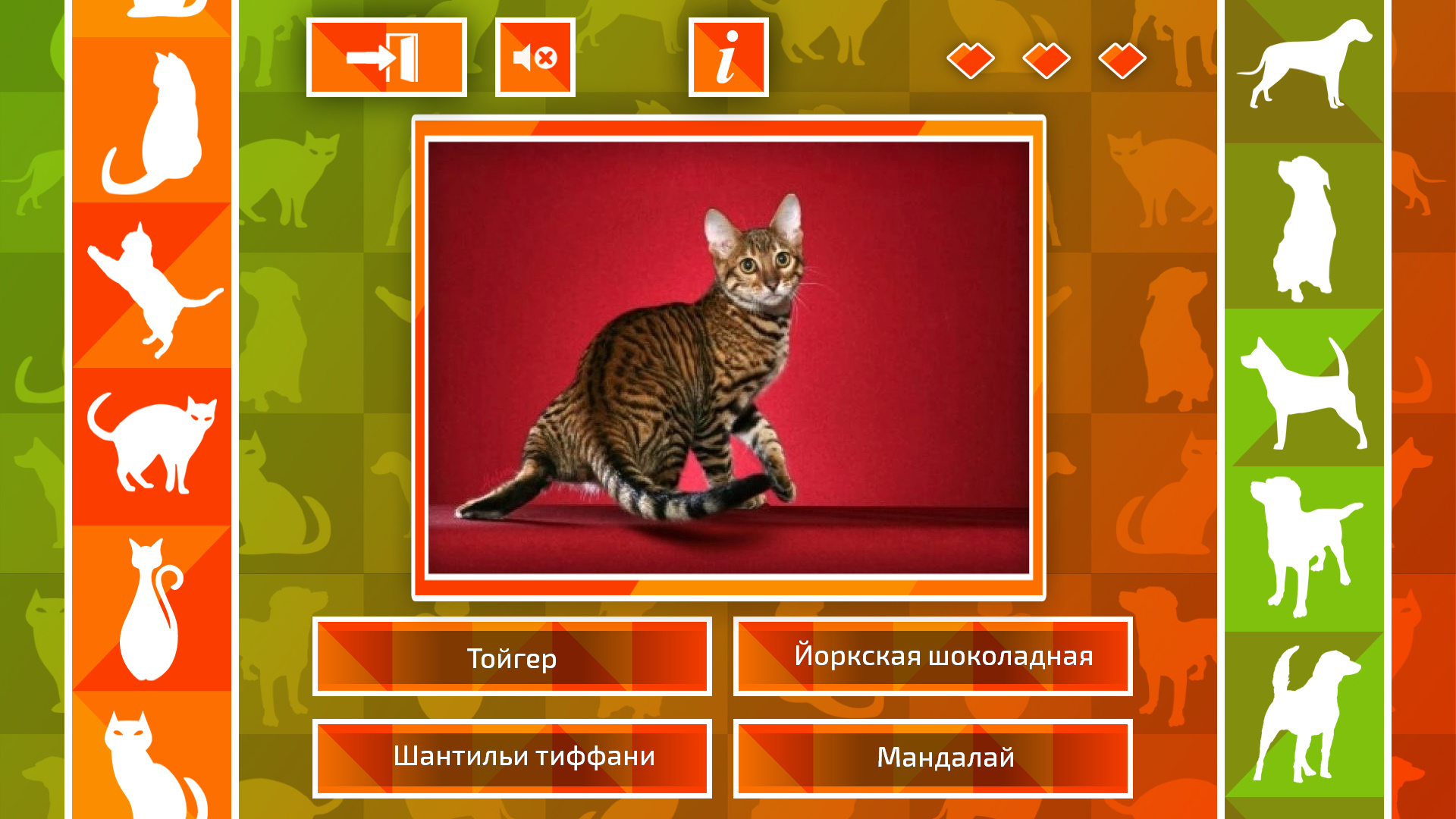 JQ: dogs & cats