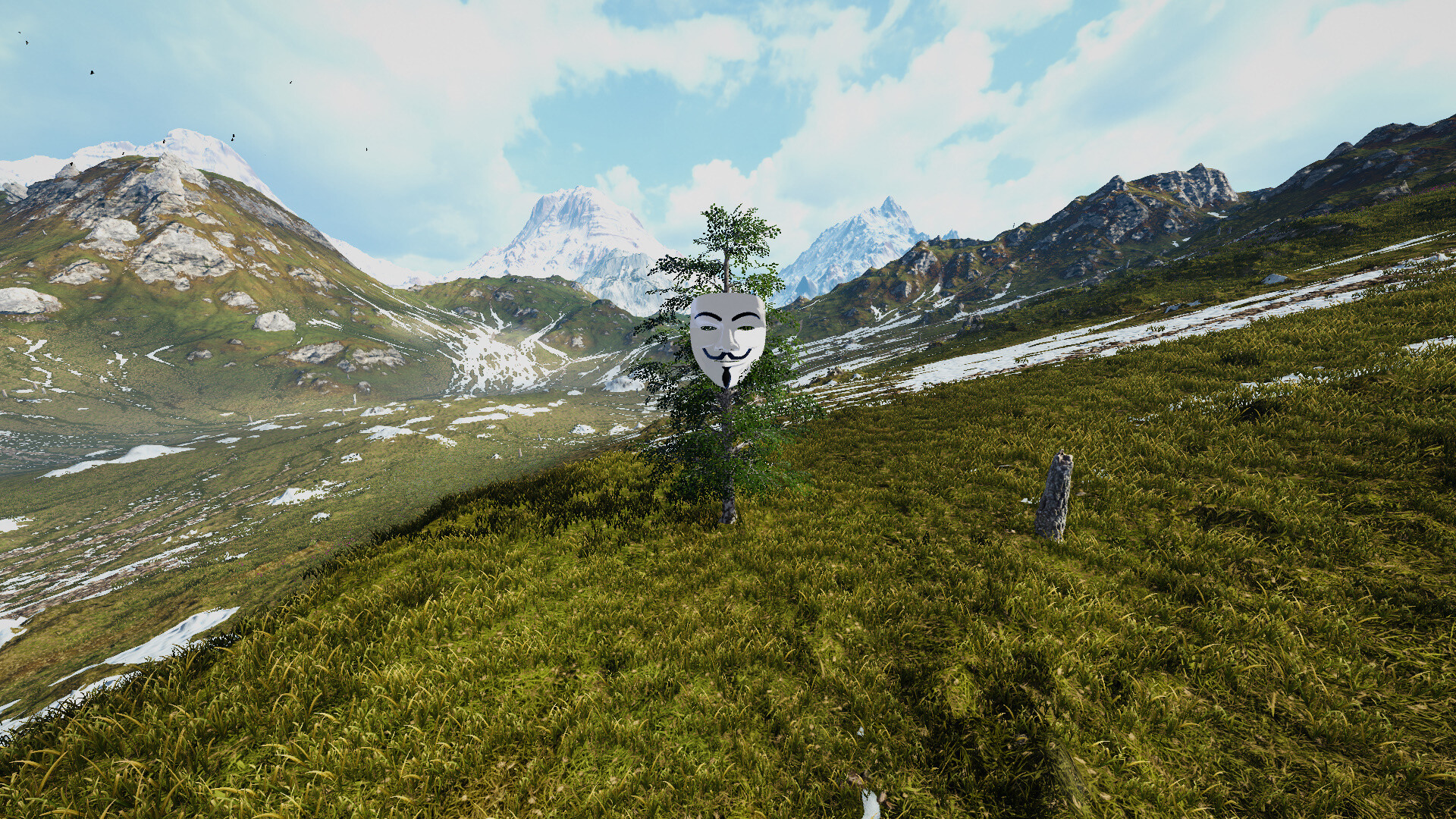Birch Simulator