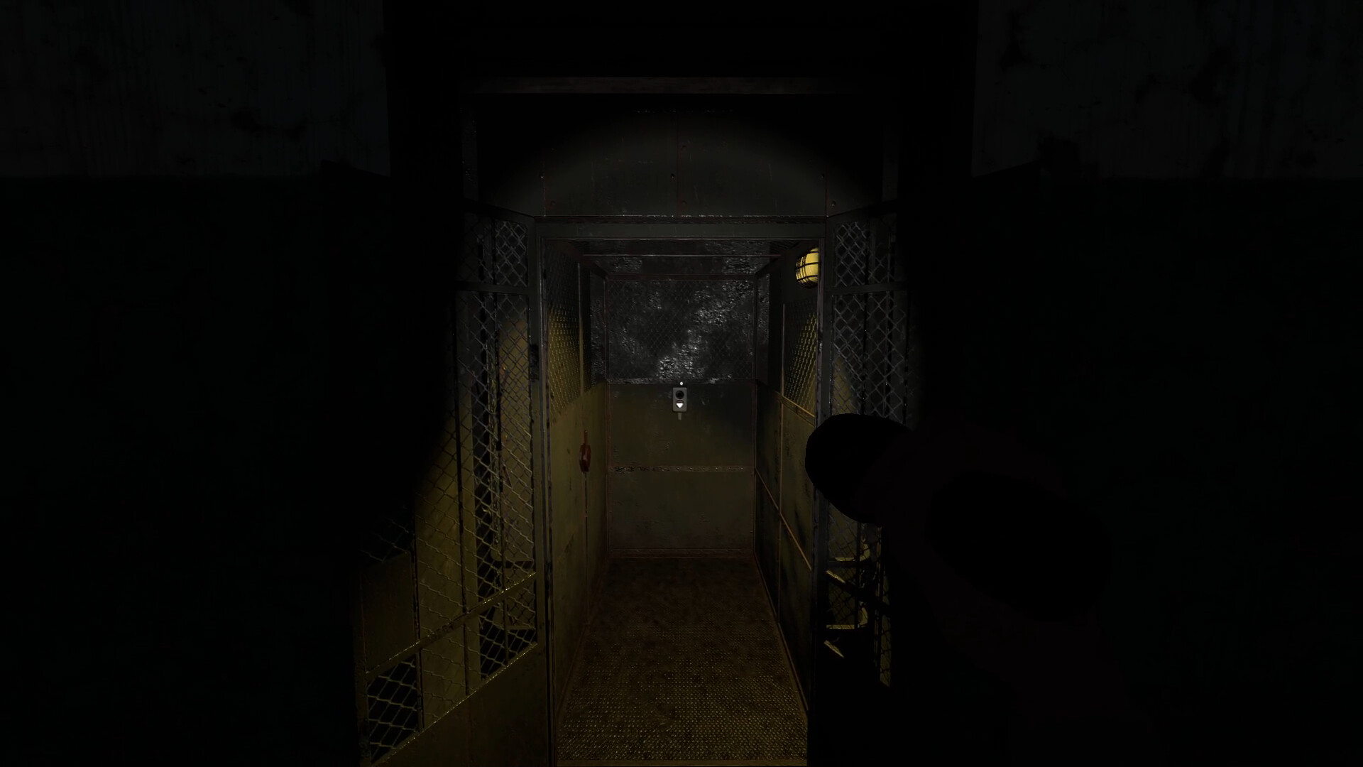 Asylum Nightmares