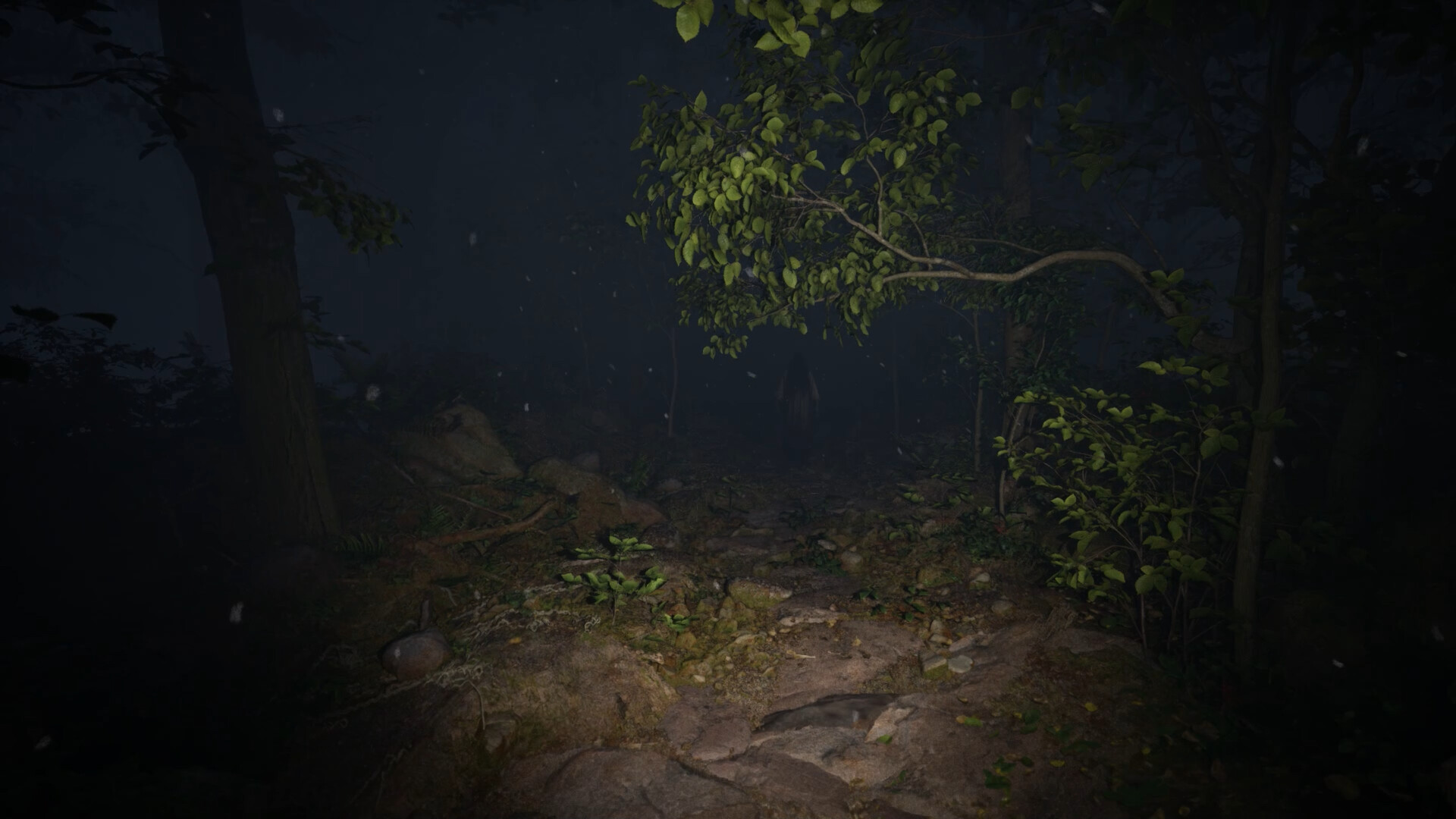 Misty Onsen