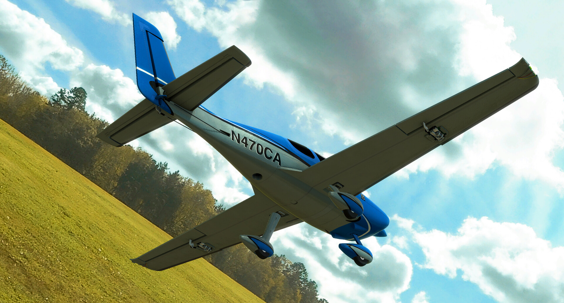 RealFlight Evolution - 2025 Year Content Pass