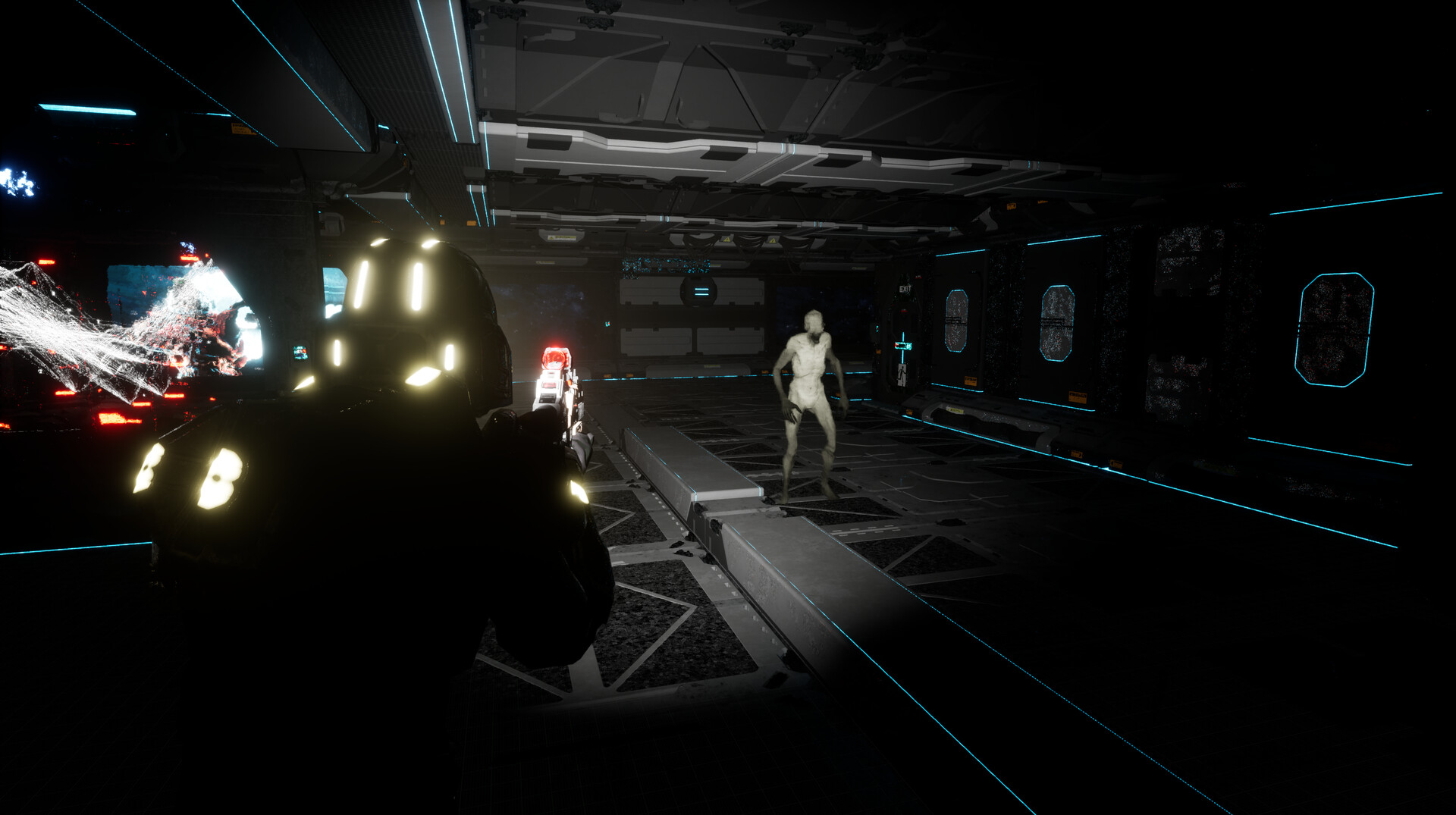 Space Entity