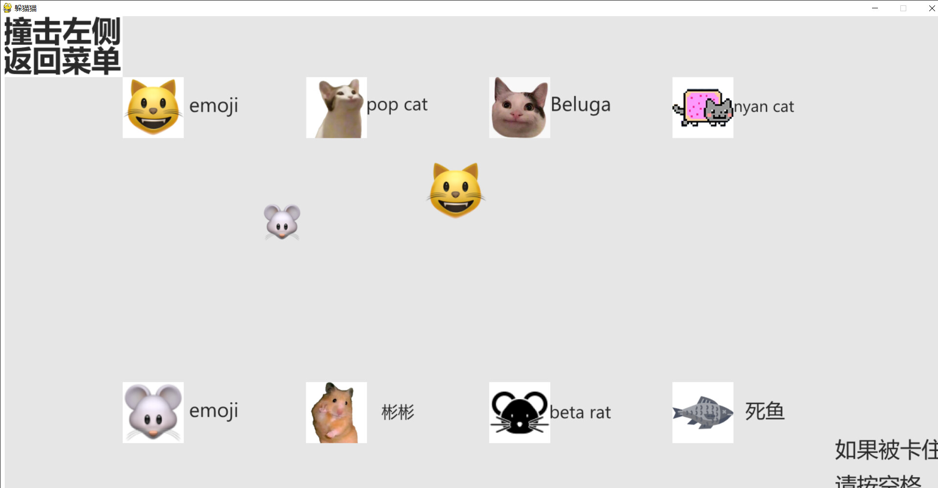 cat and rat