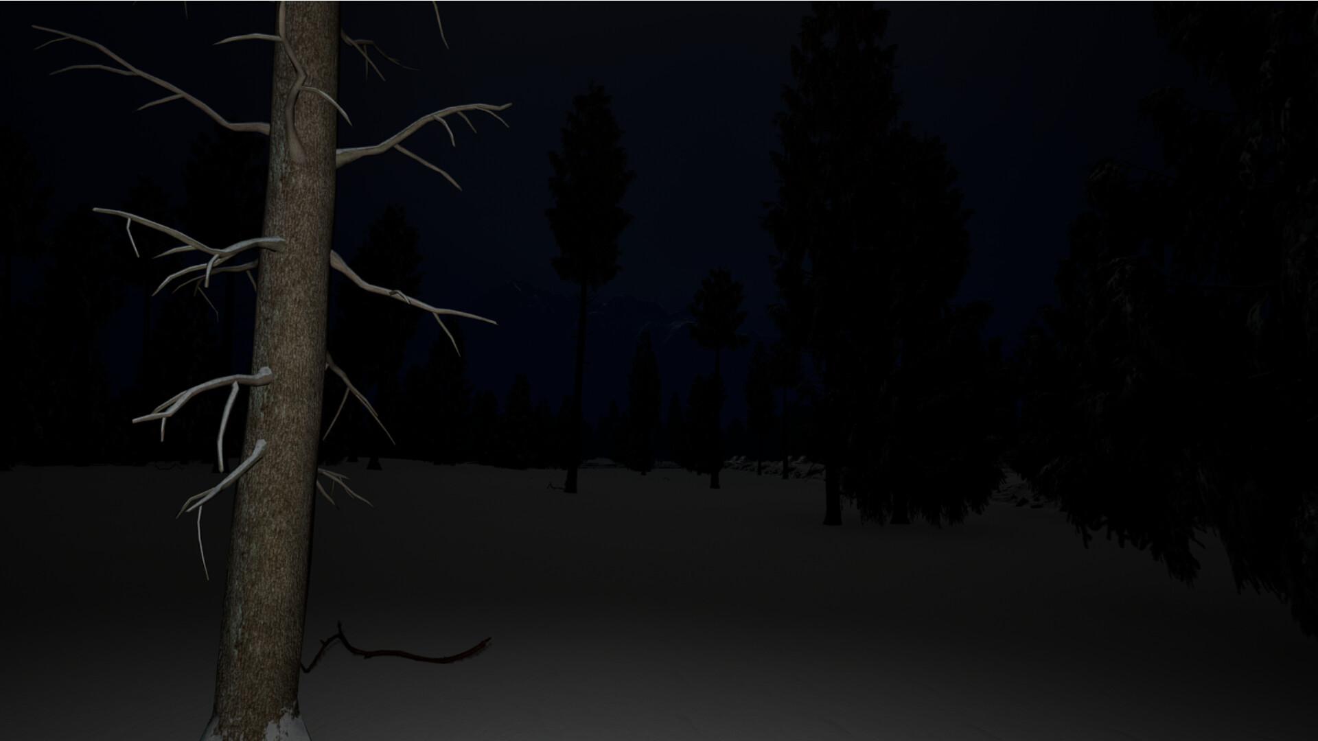 Into The Unknown