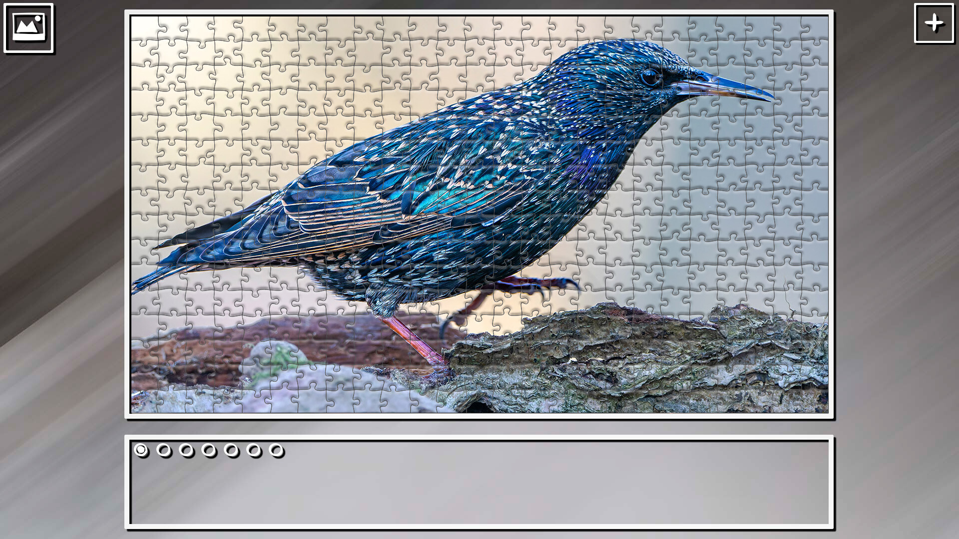 Super Jigsaw Puzzle: Generations - Random Animals 4