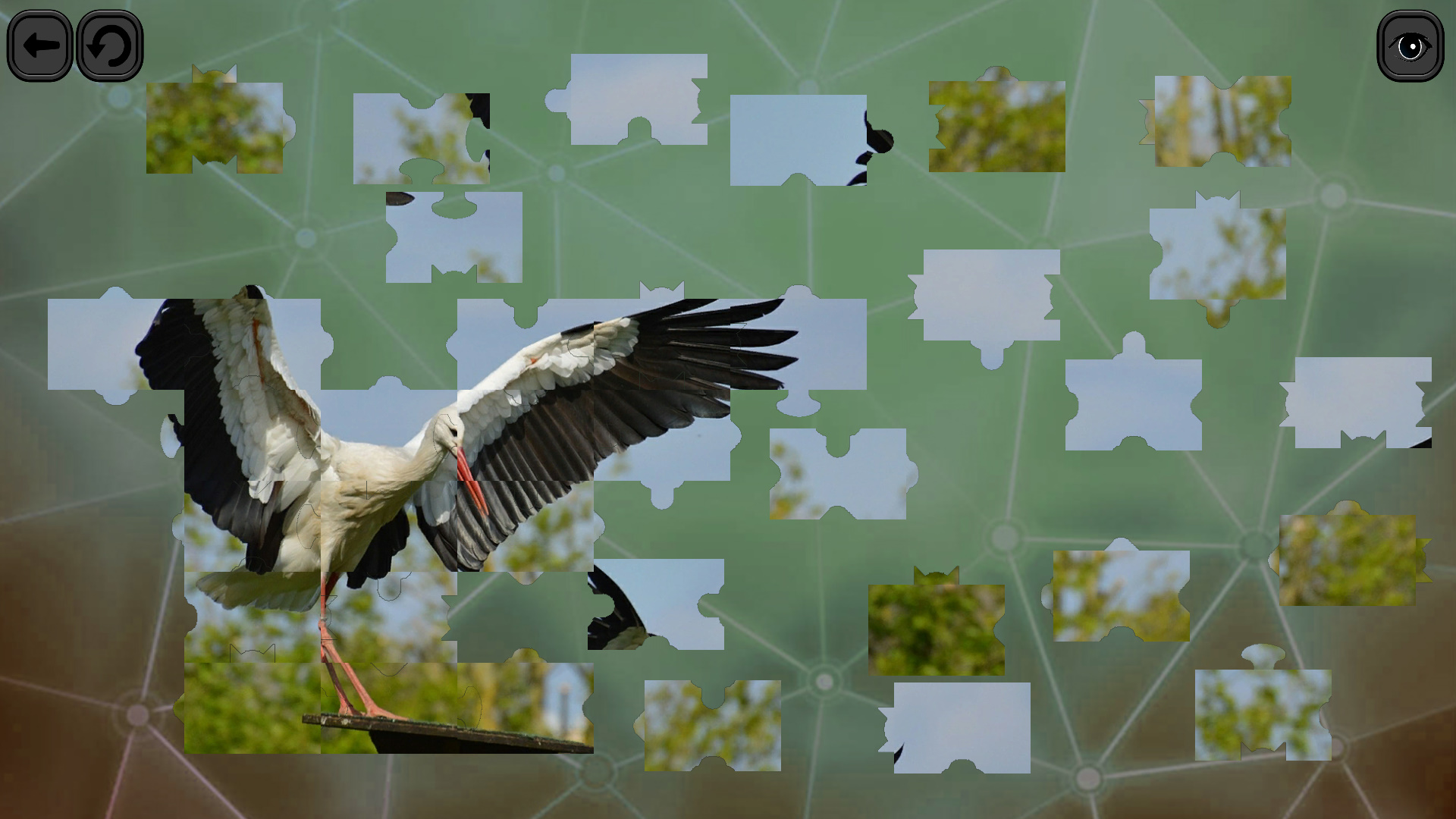 Puzzles for smart: Birds