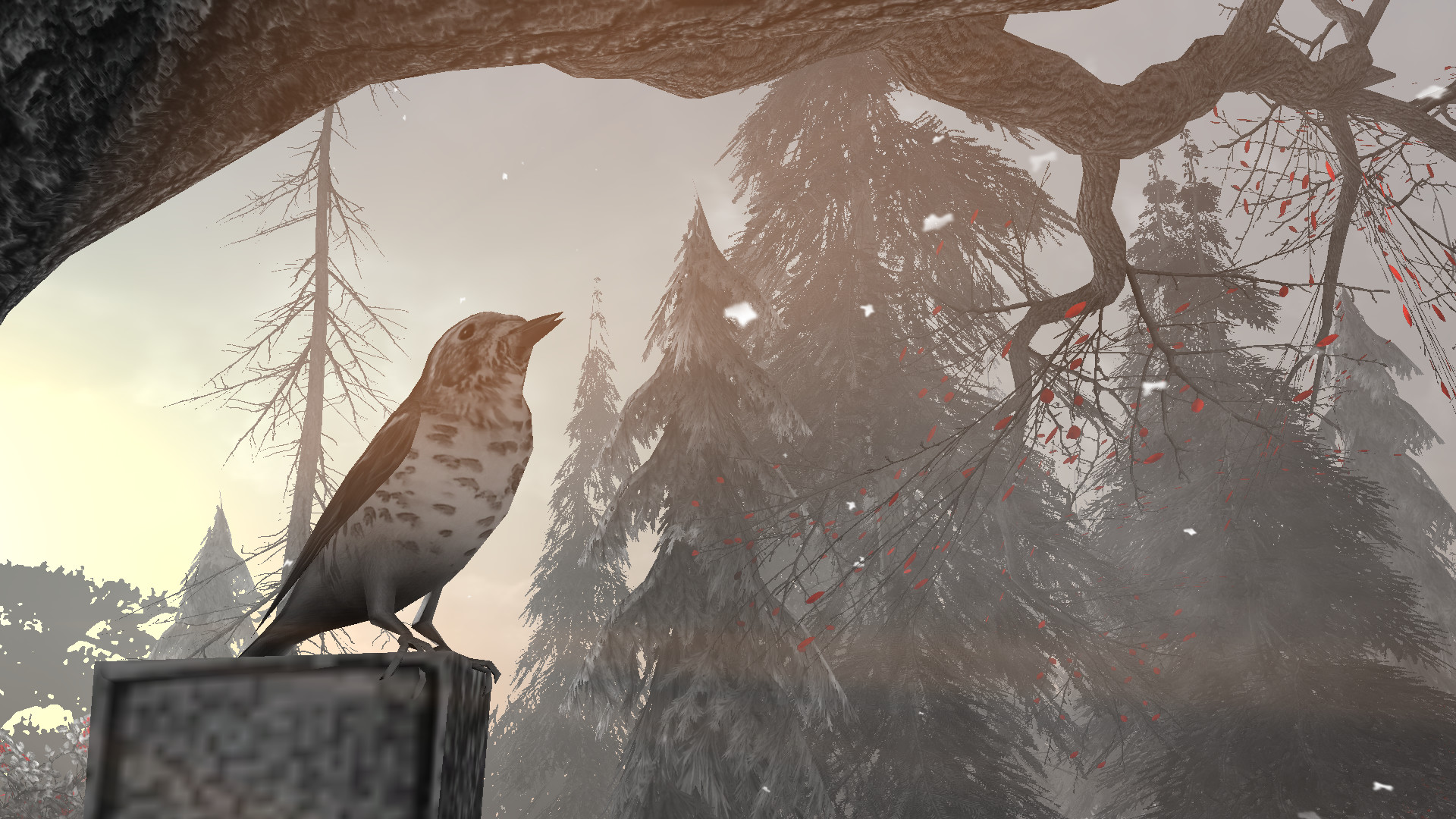 Silent Night