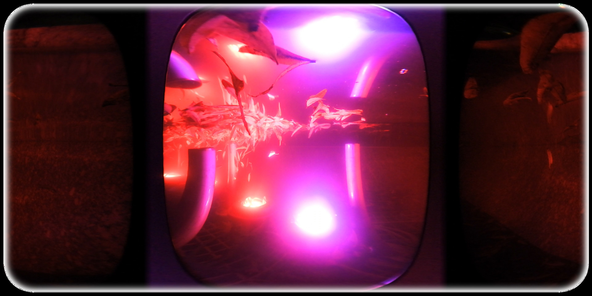 Exhale XR - Unique Moments