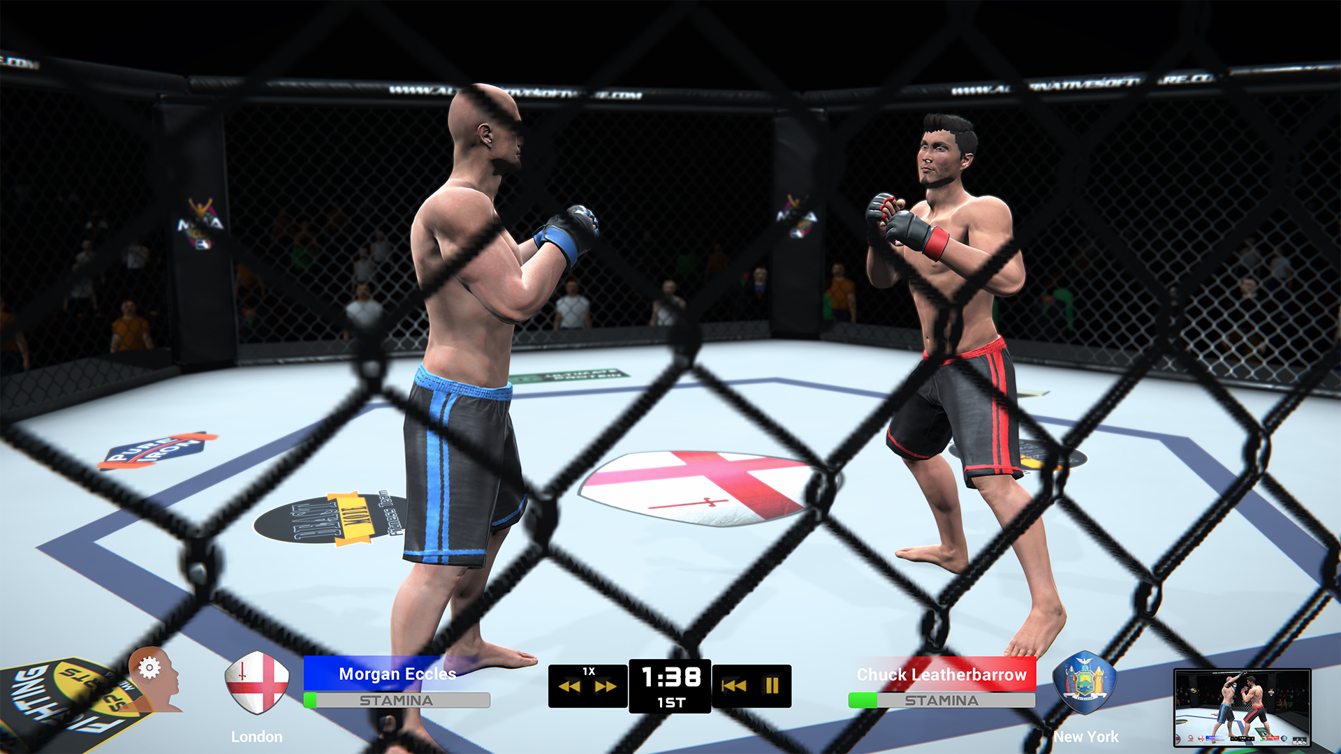 MMA Team Manager