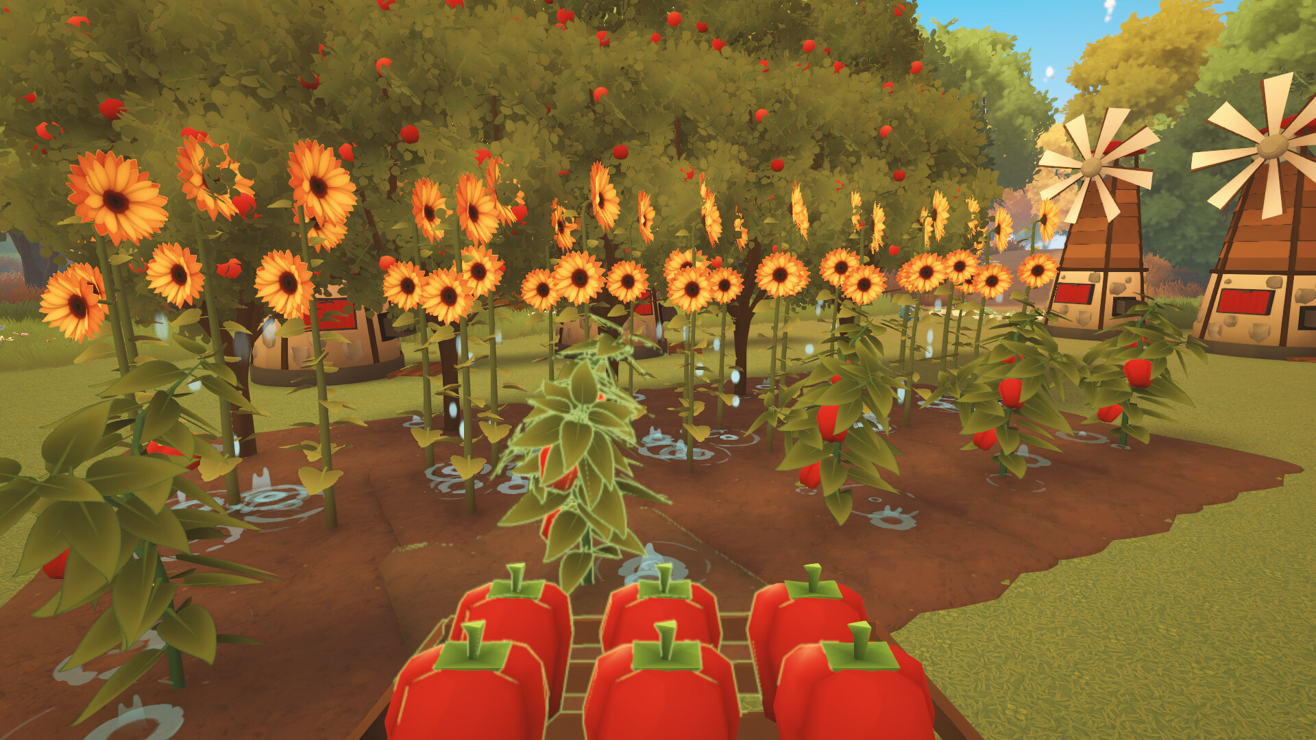 Farm to Table