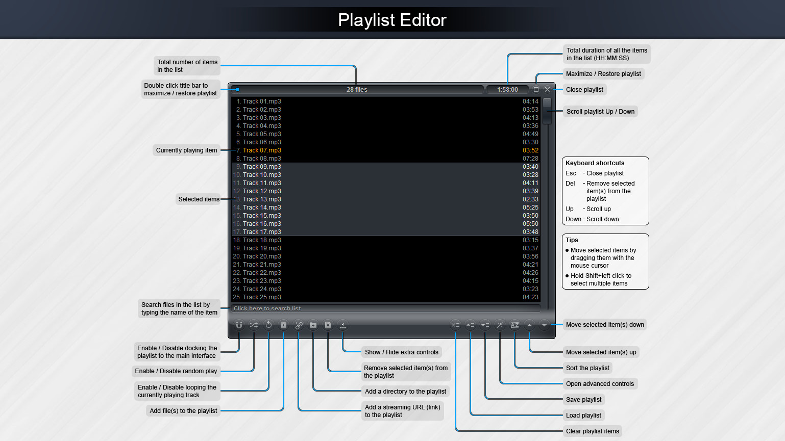 Zoom Player 16 : Steam Edition
