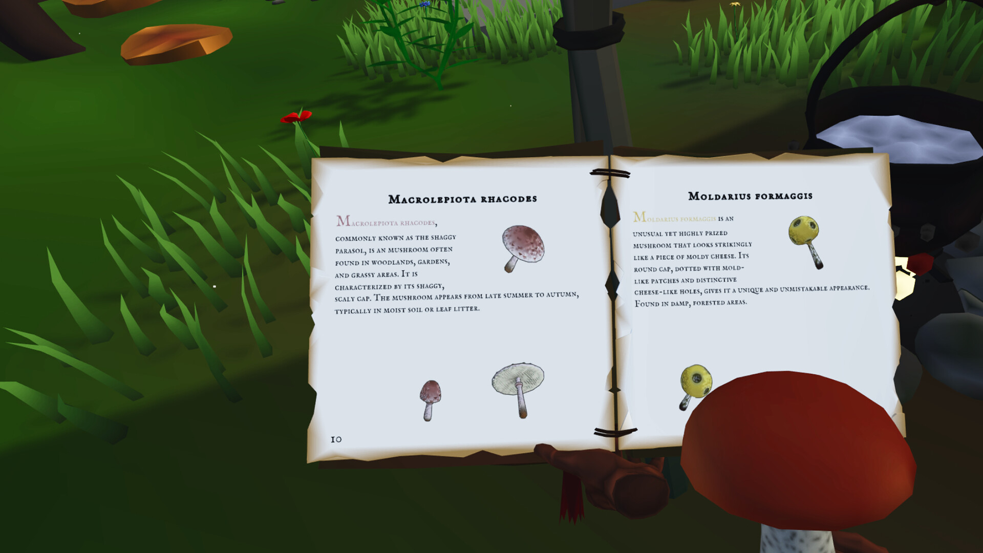 Shroomer
