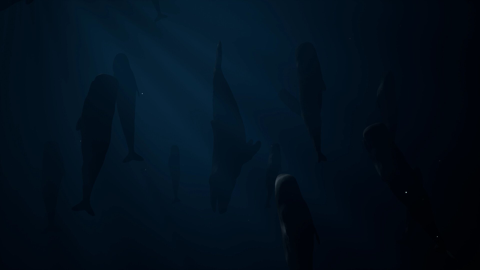 Whale Fall