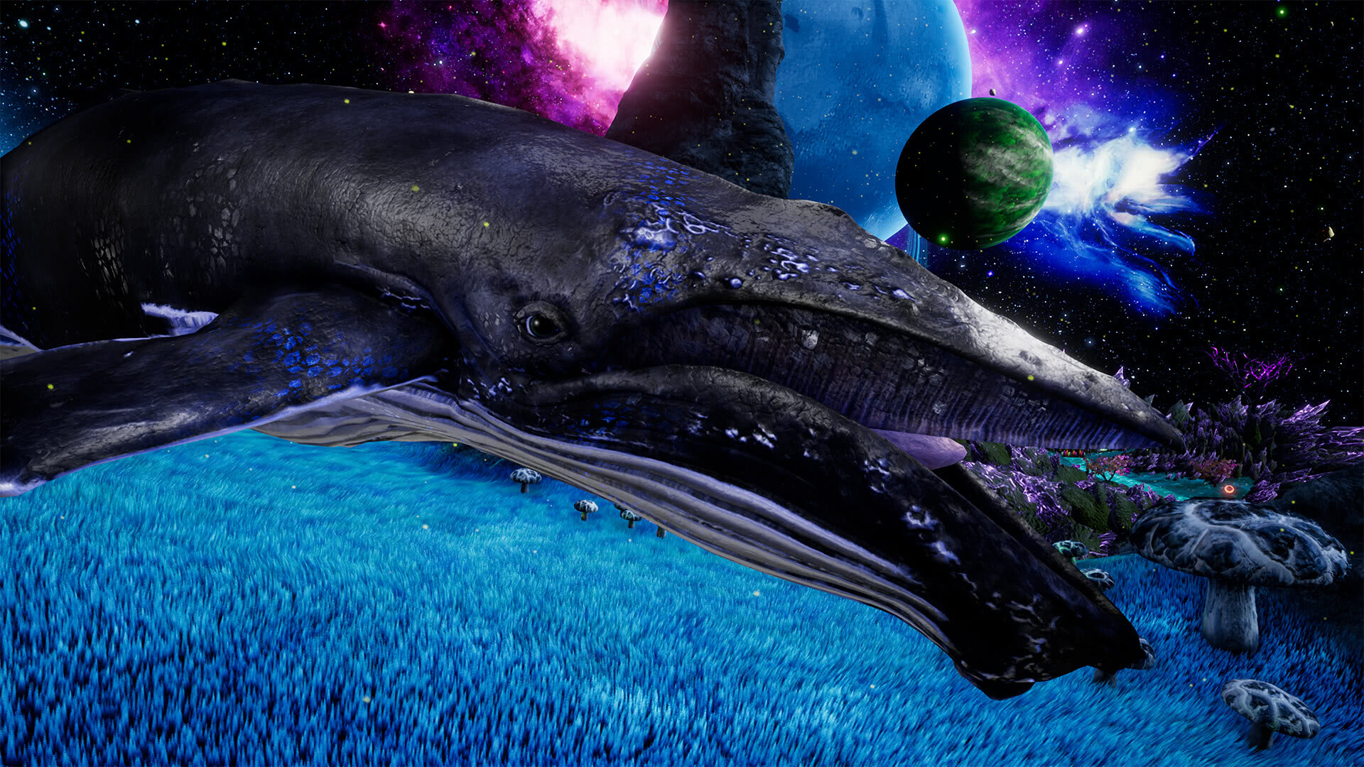 Space Dream