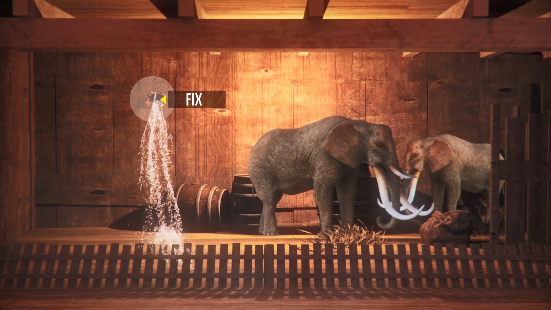 Noah's Ark