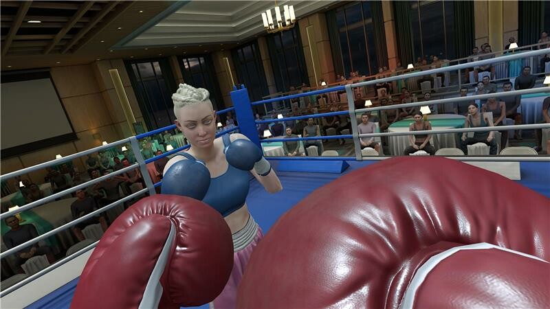 The Thrill of the Fight 2 Spectator
