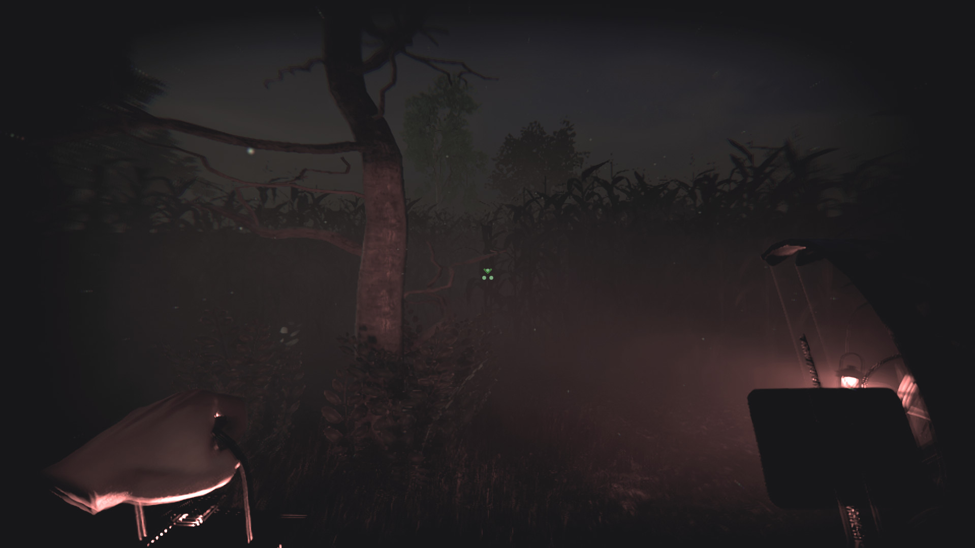 Snipe Hunt
