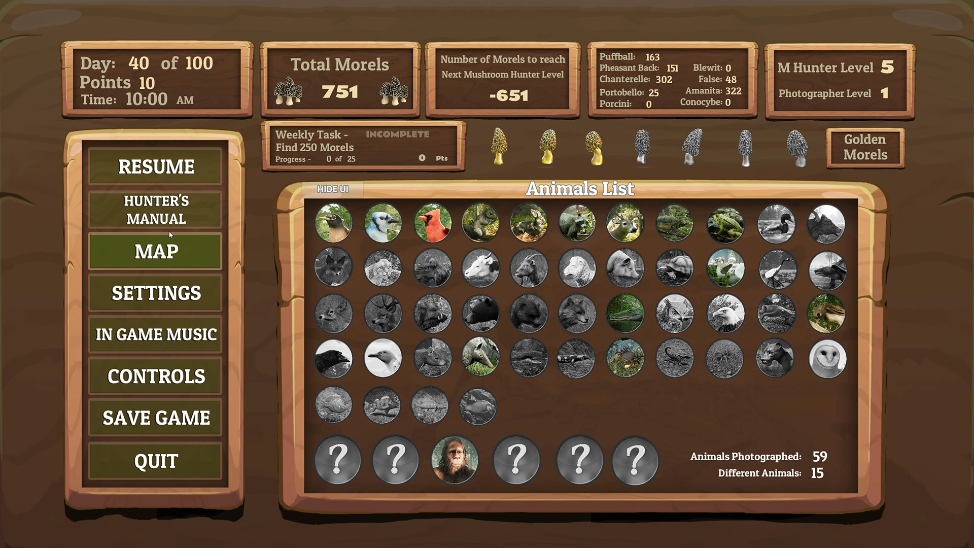Morels: The Hunt