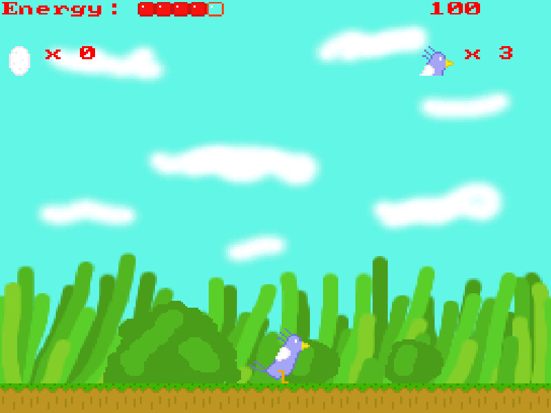 Bluejay's Quest