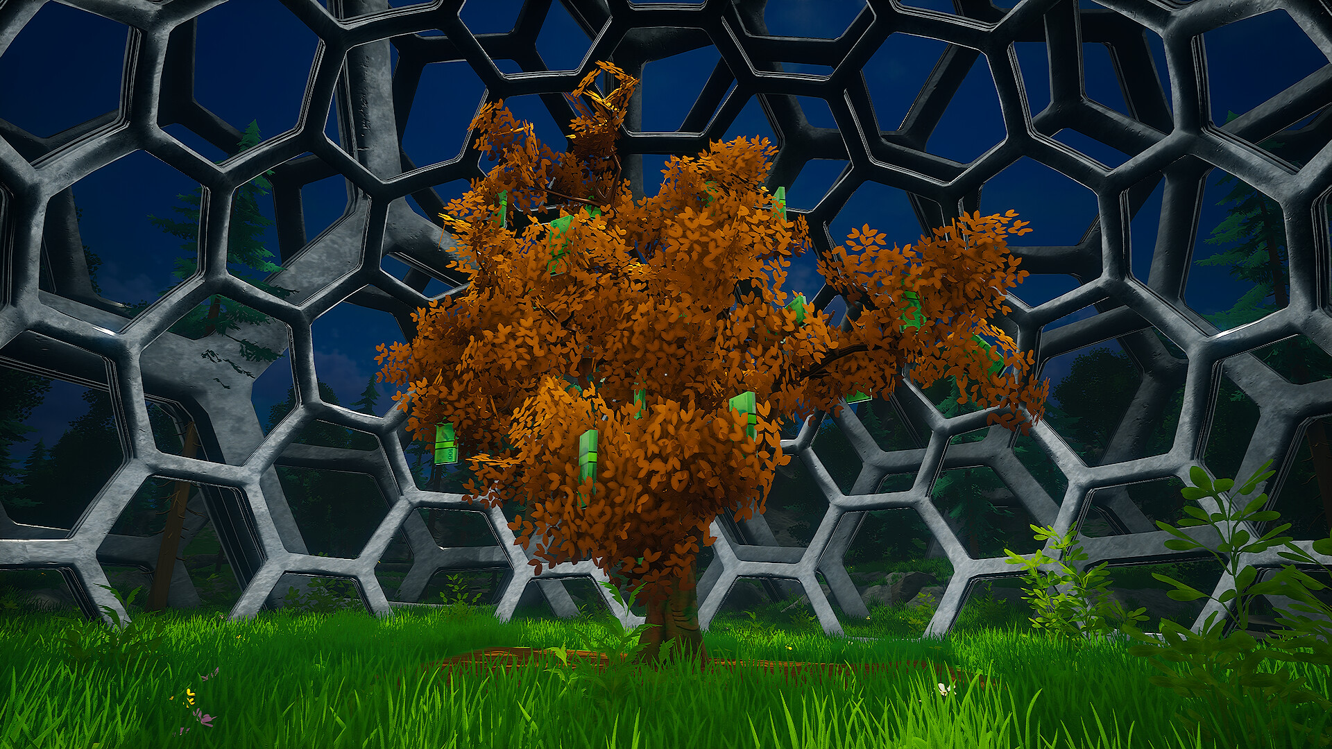My Money Grows On Trees