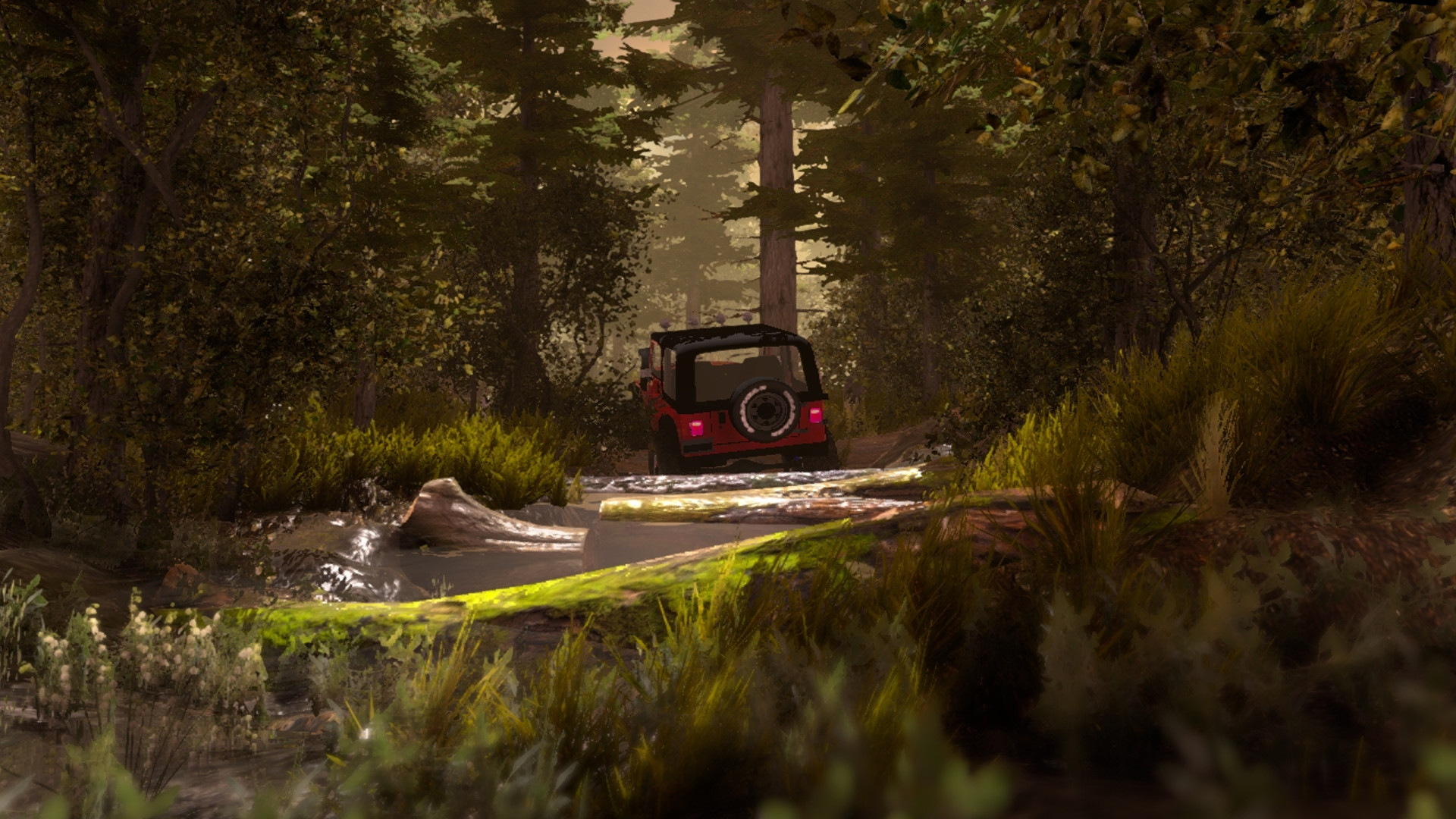 Amortizer Off-Road