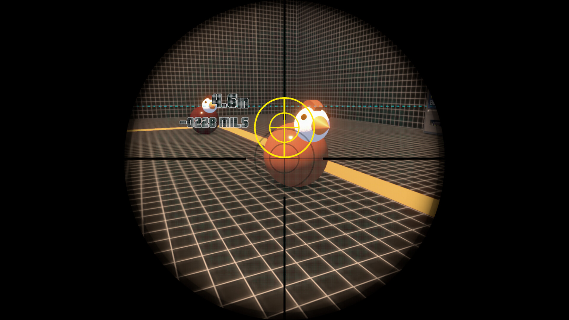 Chasing Chickens