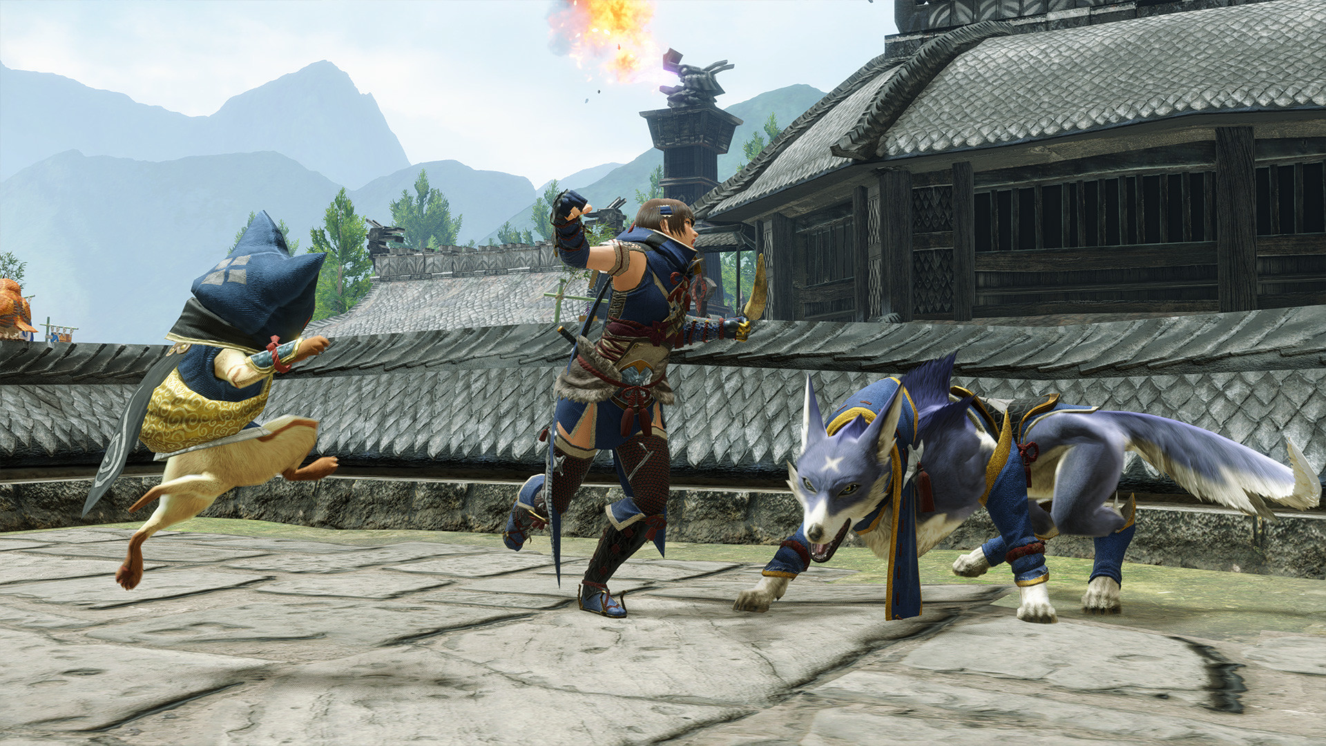 MONSTER HUNTER RISE - 