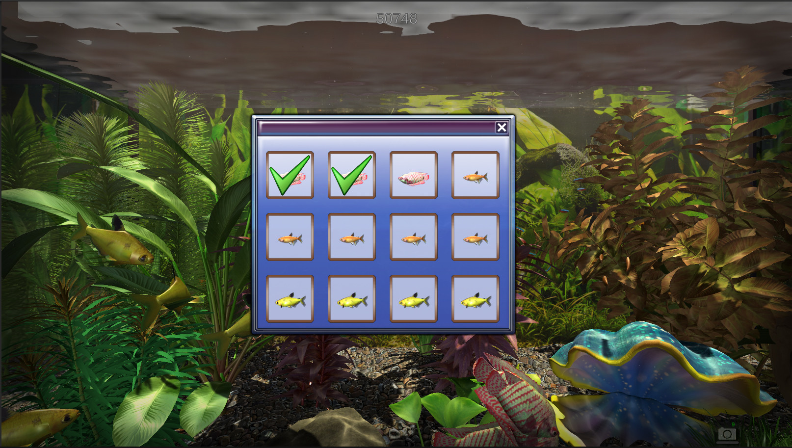 Snapshot Aquarium