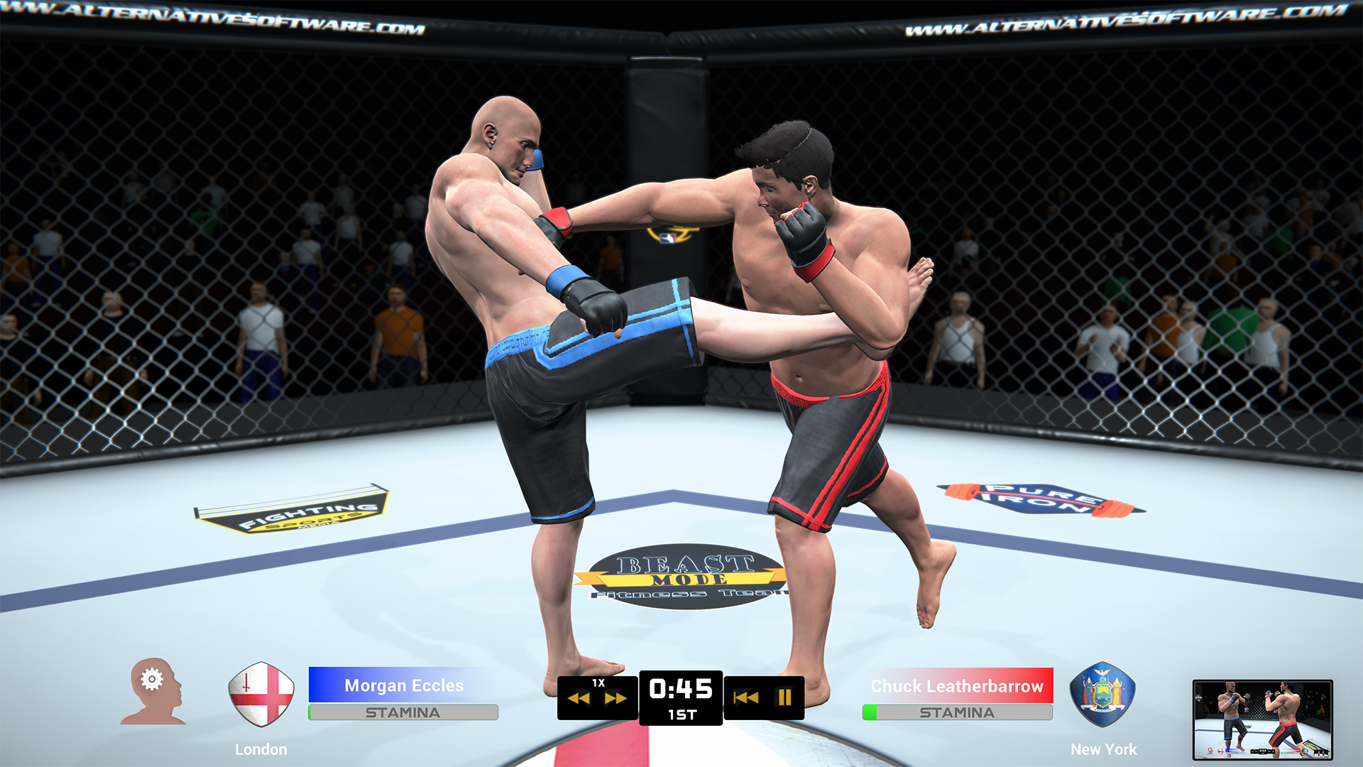 MMA Team Manager
