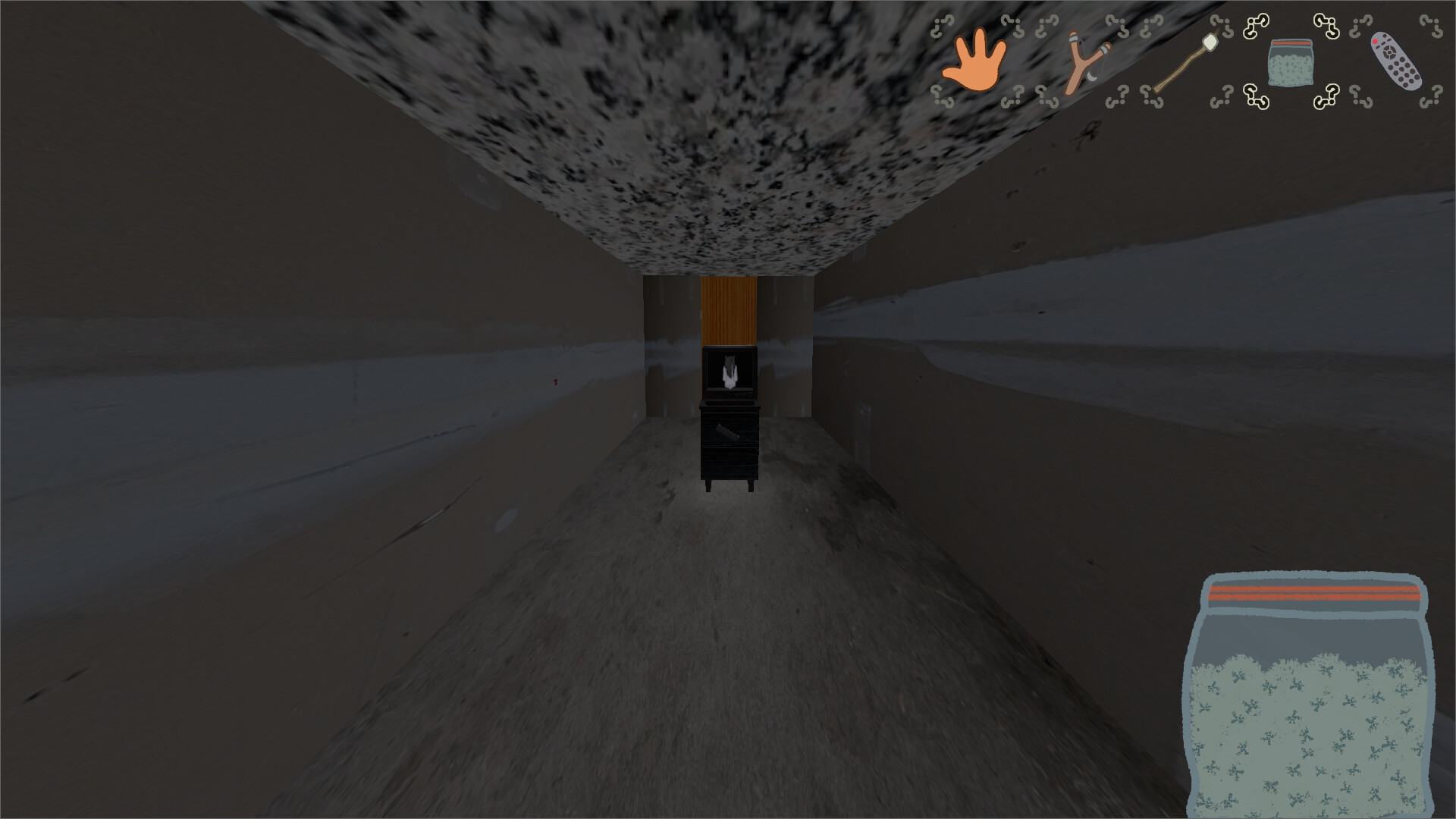 Hallway Shot
