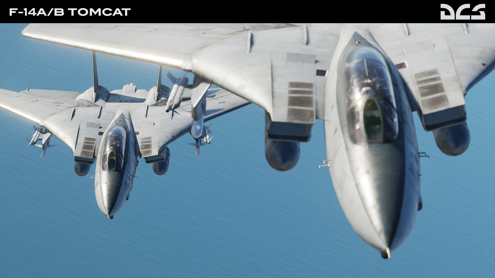 DCS: F-14A/B Tomcat