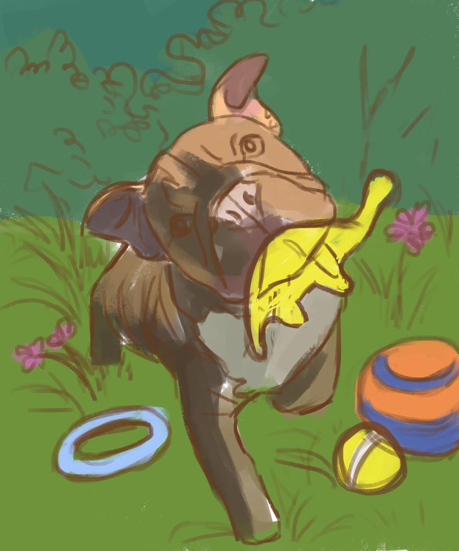 Cute Dogs - Digital Artbook + Bonus Videos