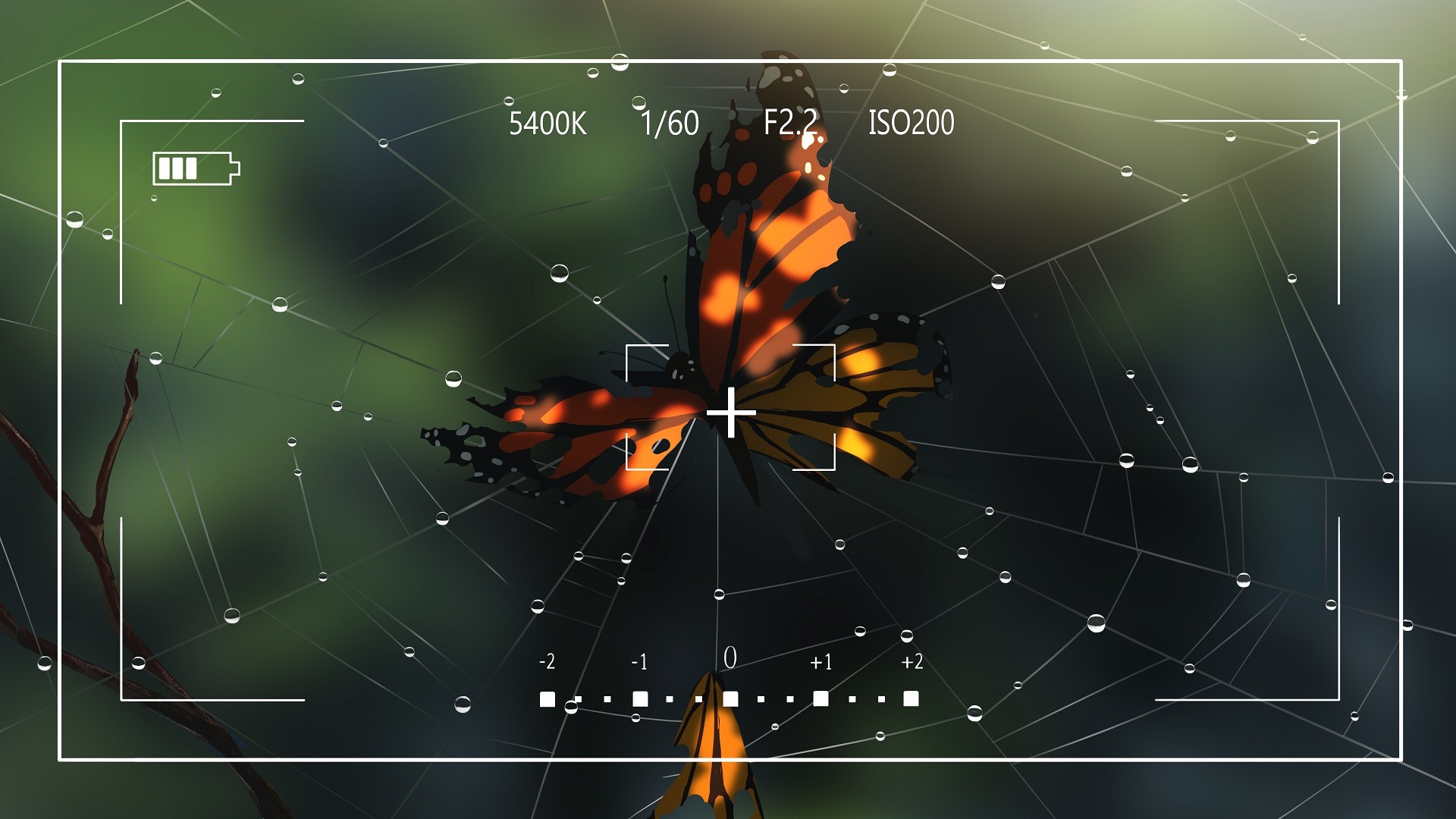 Lay a Beauty to Rest: A Butterfly Dream