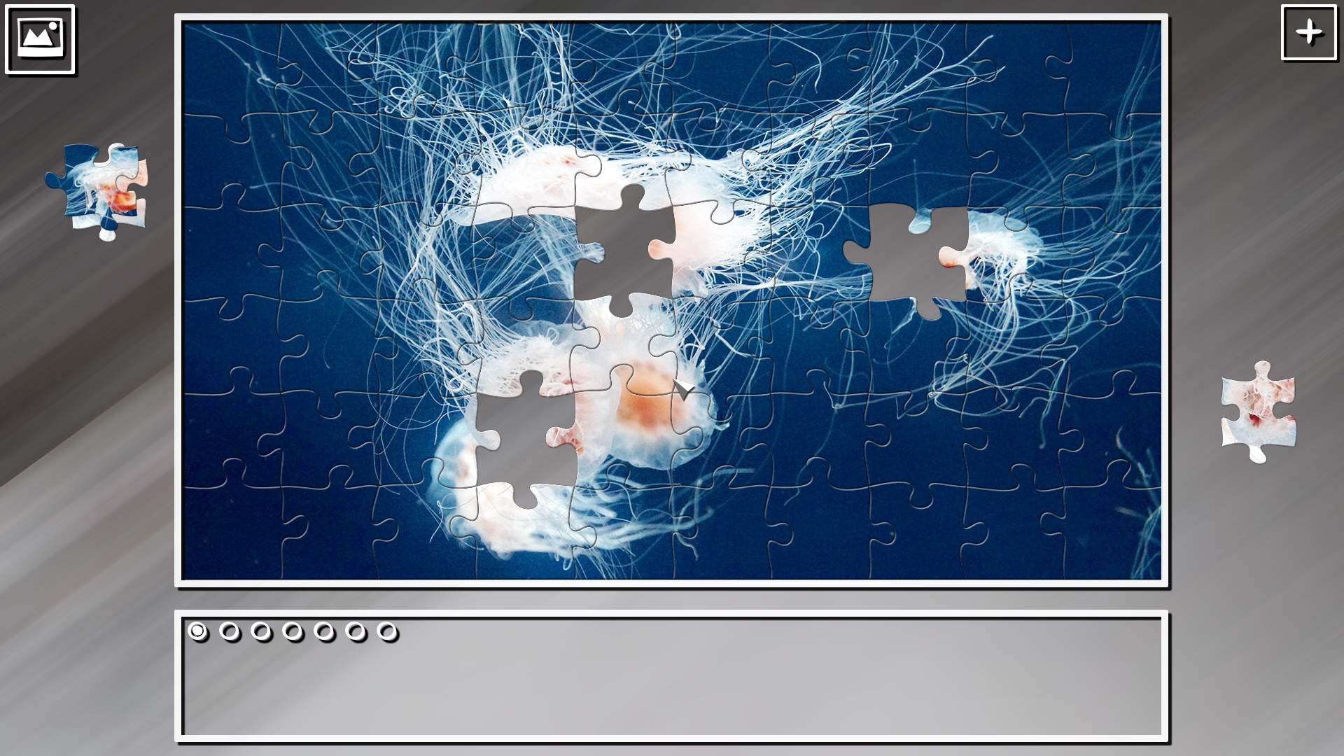 Super Jigsaw Puzzle: Generations - Jellyfishes
