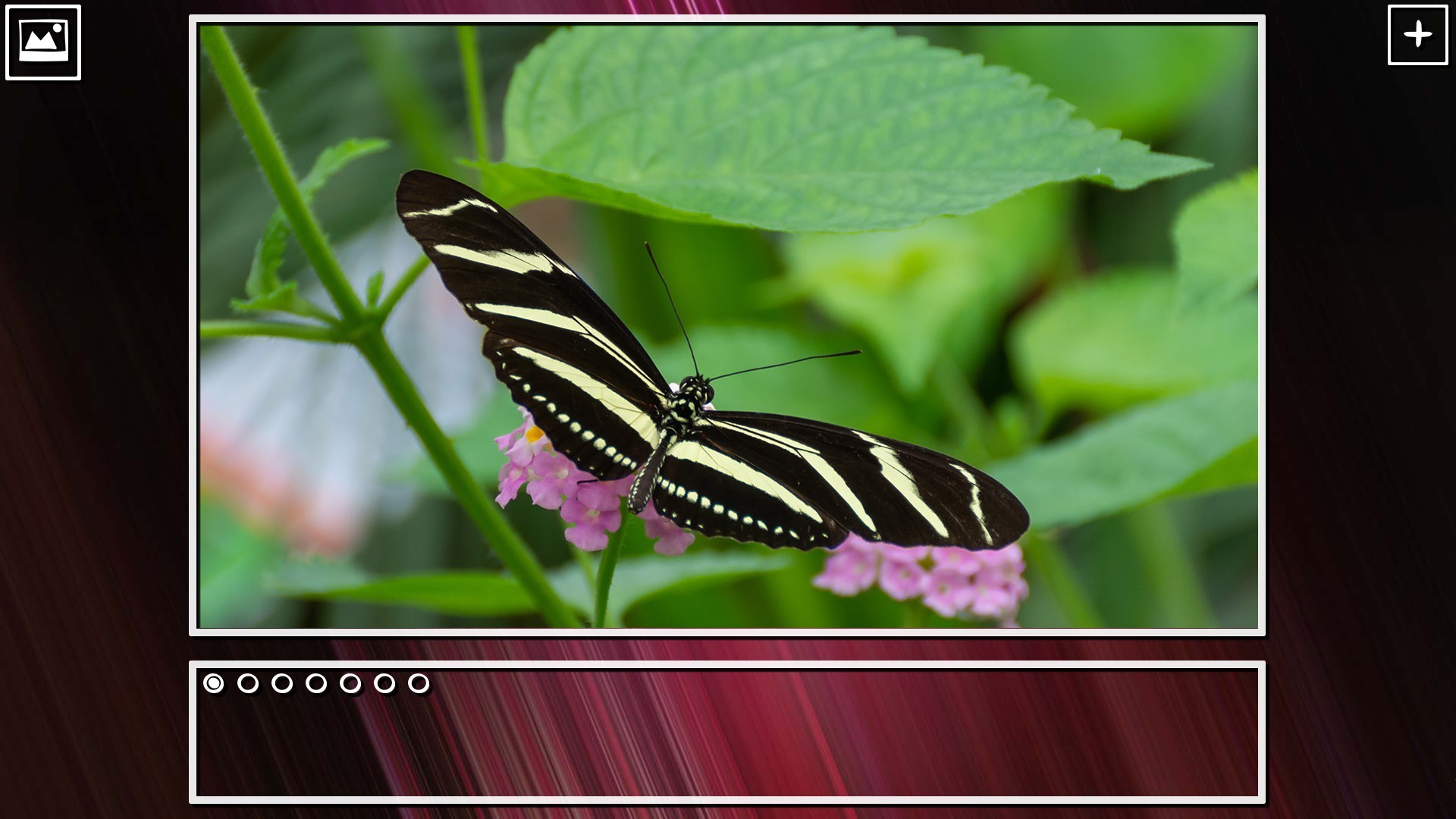 Super Jigsaw Puzzle: Generations - Bugs Puzzles