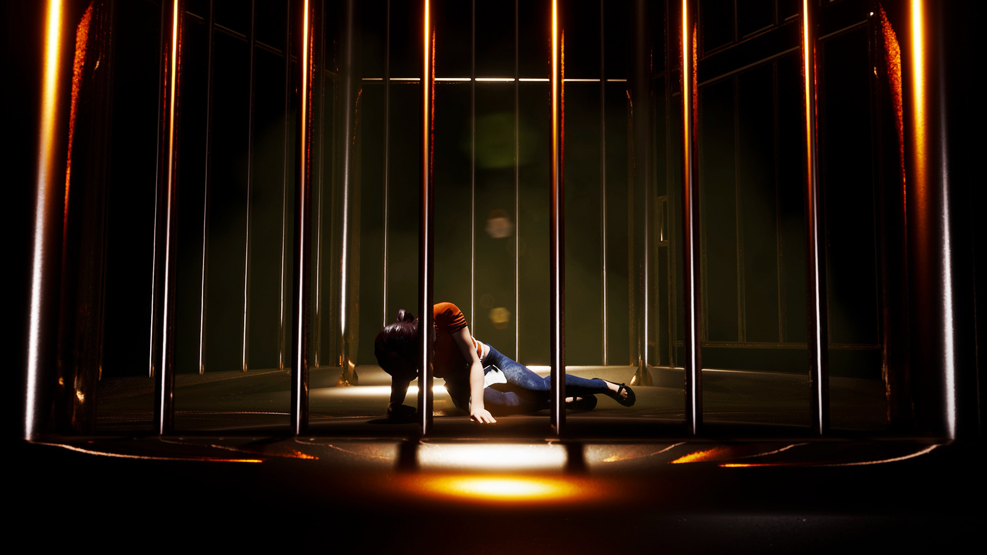 Of Bird and Cage