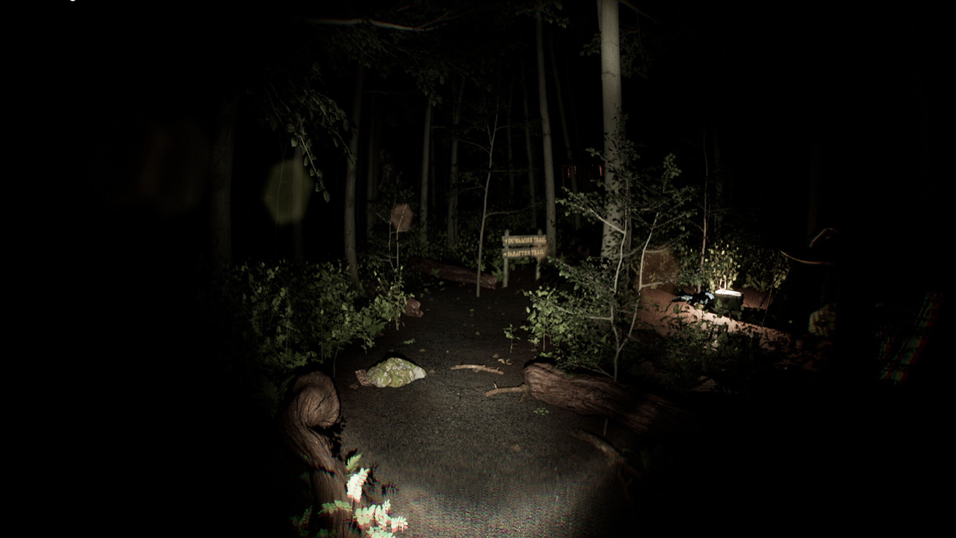 The North Woods