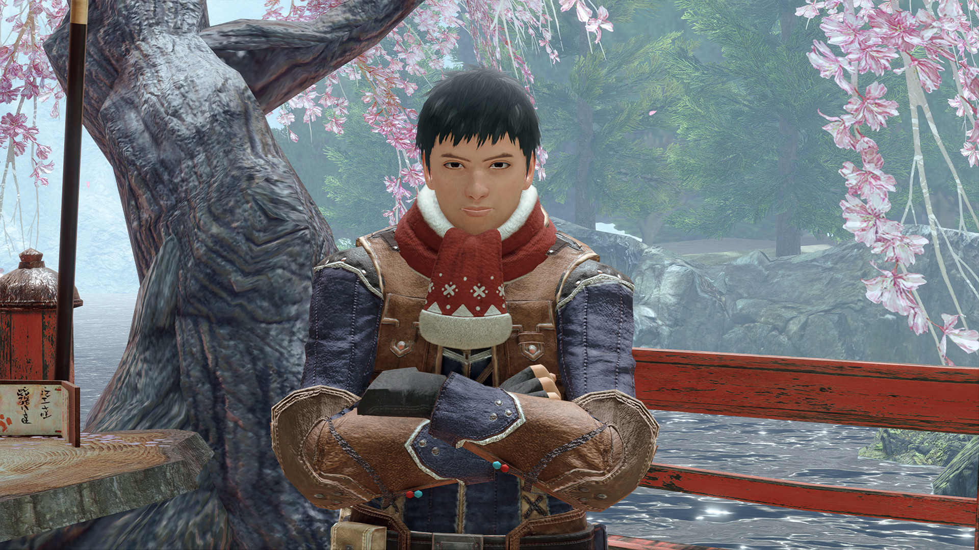 Monster Hunter Rise - 